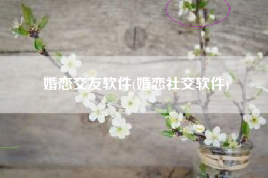 婚恋交友软件(婚恋社交软件)