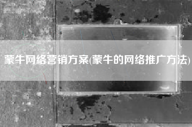 蒙牛网络营销方案(蒙牛的网络推广方法)