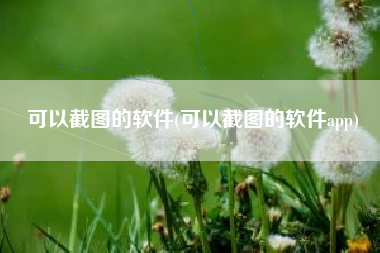 可以截图的软件(可以截图的软件app)