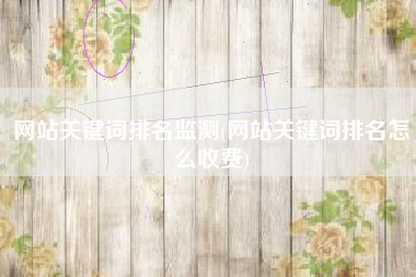 网站关键词排名监测(网站关键词排名怎么收费)