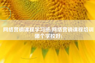 网络营销课程学习班(网络营销课程培训哪个学校好)