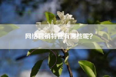 网络营销特征有哪些呢？