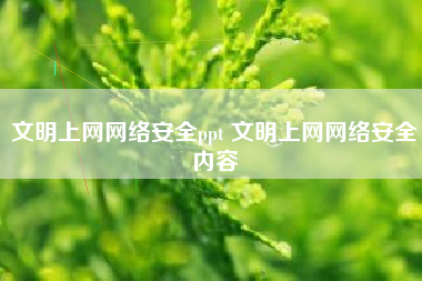 文明上网网络安全ppt 文明上网网络安全内容