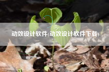 动效设计软件(动效设计软件下载)