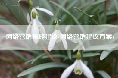 网络营销策略建议(网络营销建议方案)