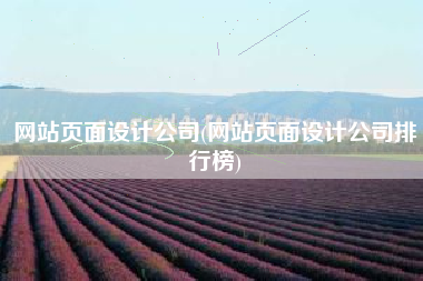 网站页面设计公司(网站页面设计公司排行榜)