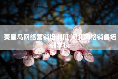 秦皇岛网络营销培训班 河北网络销售培训学校