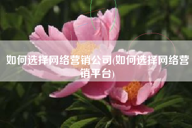如何选择网络营销公司(如何选择网络营销平台)
