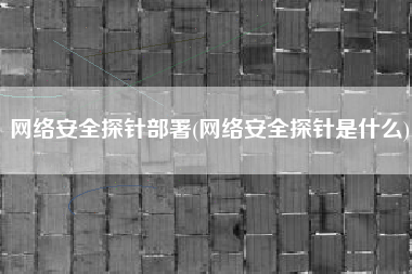 网络安全探针部署(网络安全探针是什么)