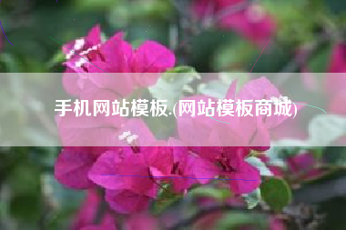 手机网站模板.(网站模板商城)