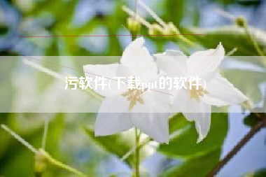 污软件(下载ppt的软件)