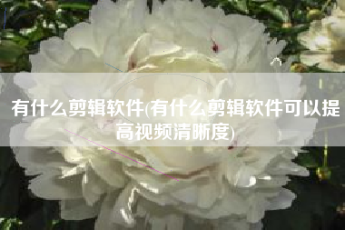 有什么剪辑软件(有什么剪辑软件可以提高视频清晰度)
