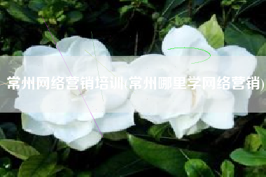 常州网络营销培训(常州哪里学网络营销)