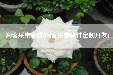 淘客采集软件(淘客采集软件定制开发)