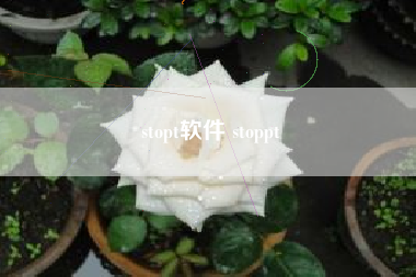 stopt软件 stoppt