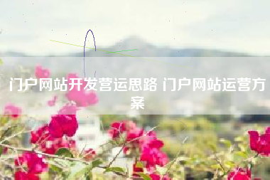 门户网站开发营运思路 门户网站运营方案