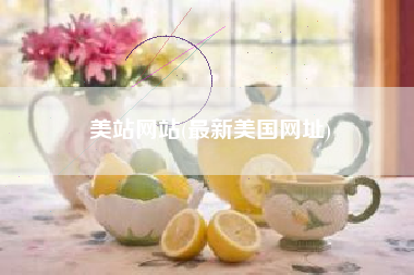 美站网站(最新美国网址)