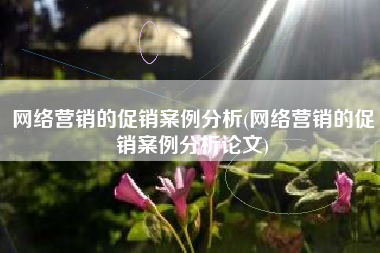 网络营销的促销案例分析(网络营销的促销案例分析论文)