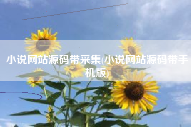 小说网站源码带采集(小说网站源码带手机版)