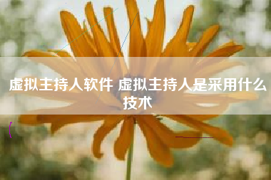 虚拟主持人软件 虚拟主持人是采用什么技术