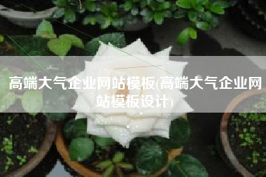 高端大气企业网站模板(高端大气企业网站模板设计)
