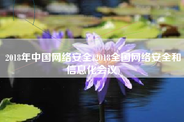 2018年中国网络安全(2018全国网络安全和信息化会议)