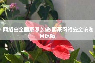 网络安全国家怎么做(国家网络安全该如何保障)