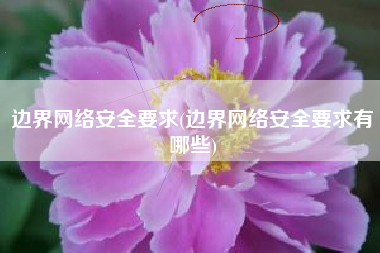 边界网络安全要求(边界网络安全要求有哪些)