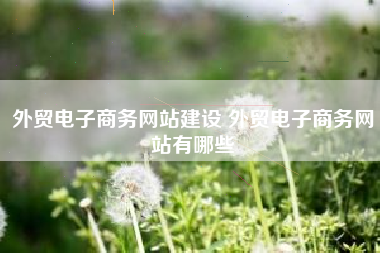 外贸电子商务网站建设 外贸电子商务网站有哪些