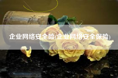 企业网络安全险(企业网络安全保险)