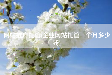网站推广托管(企业网站托管一个月多少钱)