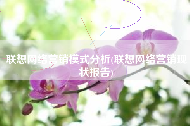 联想网络营销模式分析(联想网络营销现状报告)