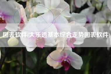 图表软件(大乐透基本综合走势图表软件)