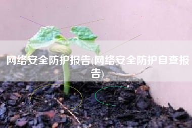 网络安全防护报告(网络安全防护自查报告)