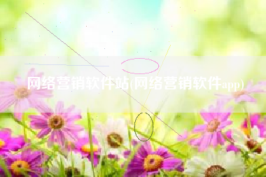 网络营销软件站(网络营销软件app)