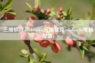 三维软件solidworks(三维软件solidworks电脑配置)
