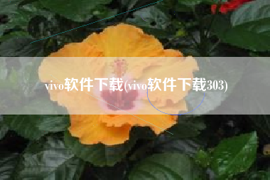vivo软件下载(vivo软件下载303)