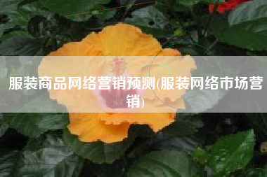 服装商品网络营销预测(服装网络市场营销)