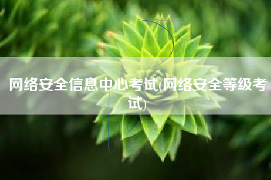 网络安全信息中心考试(网络安全等级考试)