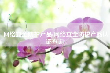 网络安全防护产品(网络安全防护产品认证查询)