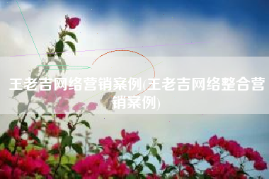 王老吉网络营销案例(王老吉网络整合营销案例)