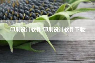 印刷设计软件(印刷设计软件下载)