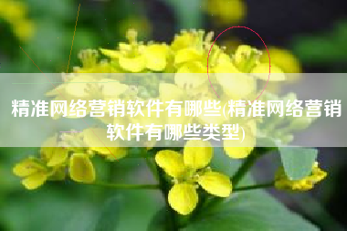 精准网络营销软件有哪些(精准网络营销软件有哪些类型)