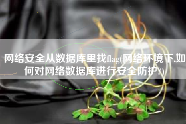 网络安全从数据库里找flag(网络环境下,如何对网络数据库进行安全防护?)