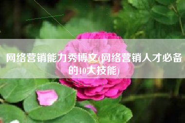 网络营销能力秀博文(网络营销人才必备的10大技能)