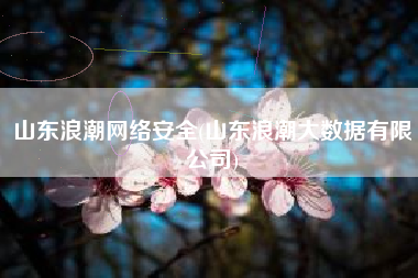 山东浪潮网络安全(山东浪潮大数据有限公司)