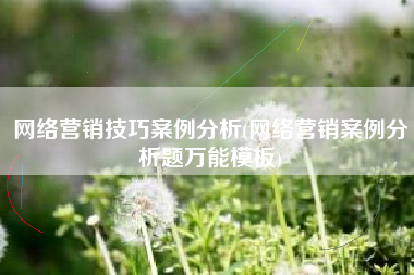 网络营销技巧案例分析(网络营销案例分析题万能模板)