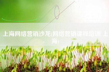上海网络营销沙龙(网络营销课程培训 上海)