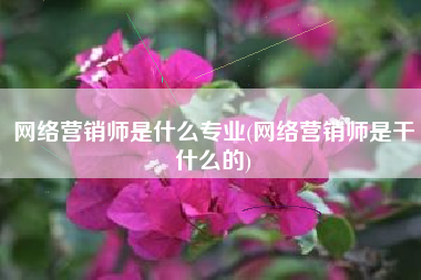 网络营销师是什么专业(网络营销师是干什么的)