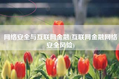 网络安全与互联网金融(互联网金融网络安全风险)